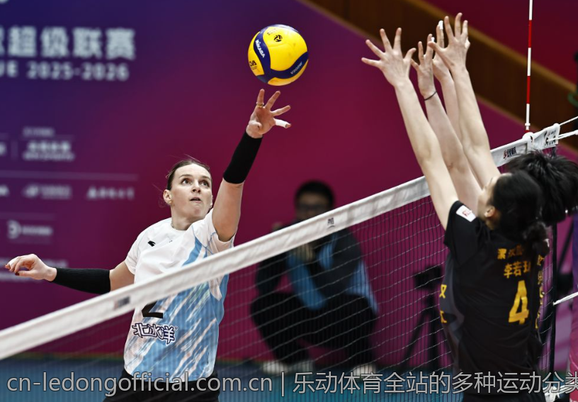 乐动体育全站的多种运动分类与选择解析